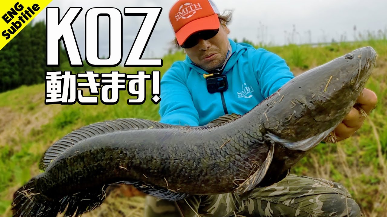 Snakehead fishing by KOZo Okubo #1 [English Sub]