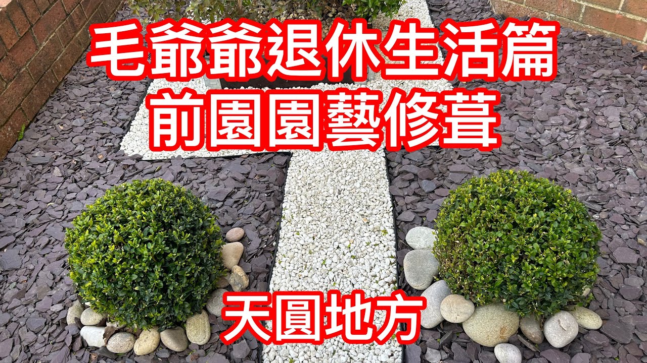 毛爺爺退休生活篇 前園園藝修葺 天圓地方 左右不同形狀￼ garden clipping