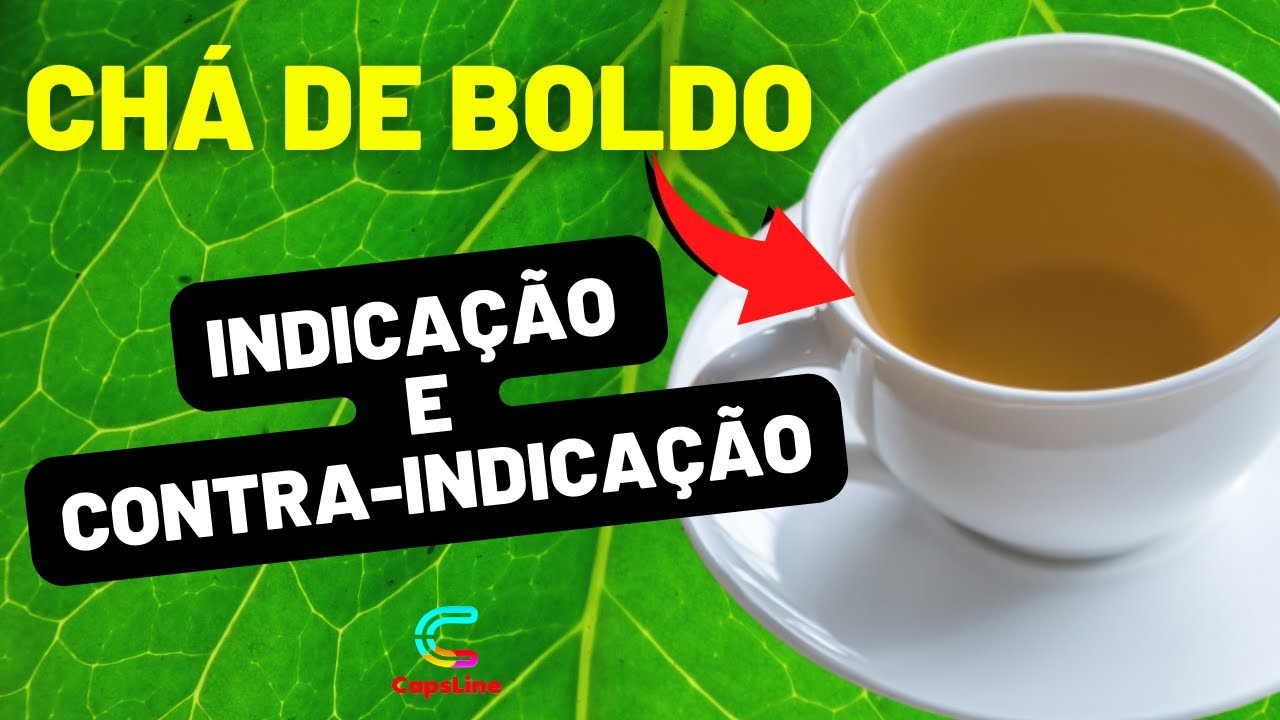 CH&Aacute; DE BOLDO   Indica&ccedil;&atilde;o e Contra indica&ccedil;&atilde;o