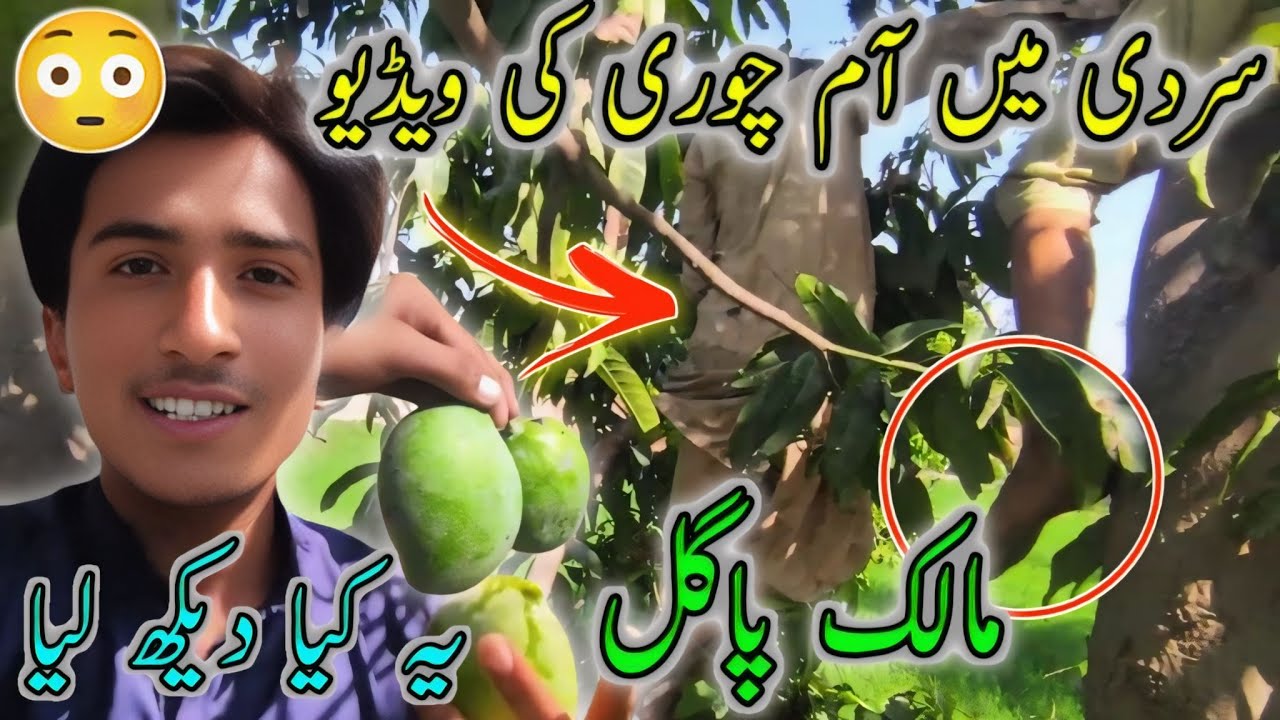 Dosto Ke Sath Guzri 😜 گرمیوں کی Garam یادیں Pakray Gaye انجام 😂