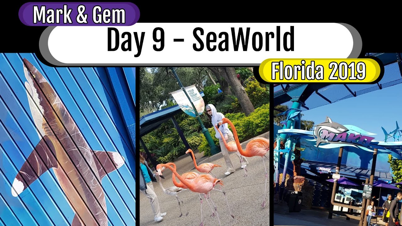 Florida 2019 - SeaWorld - Day 9