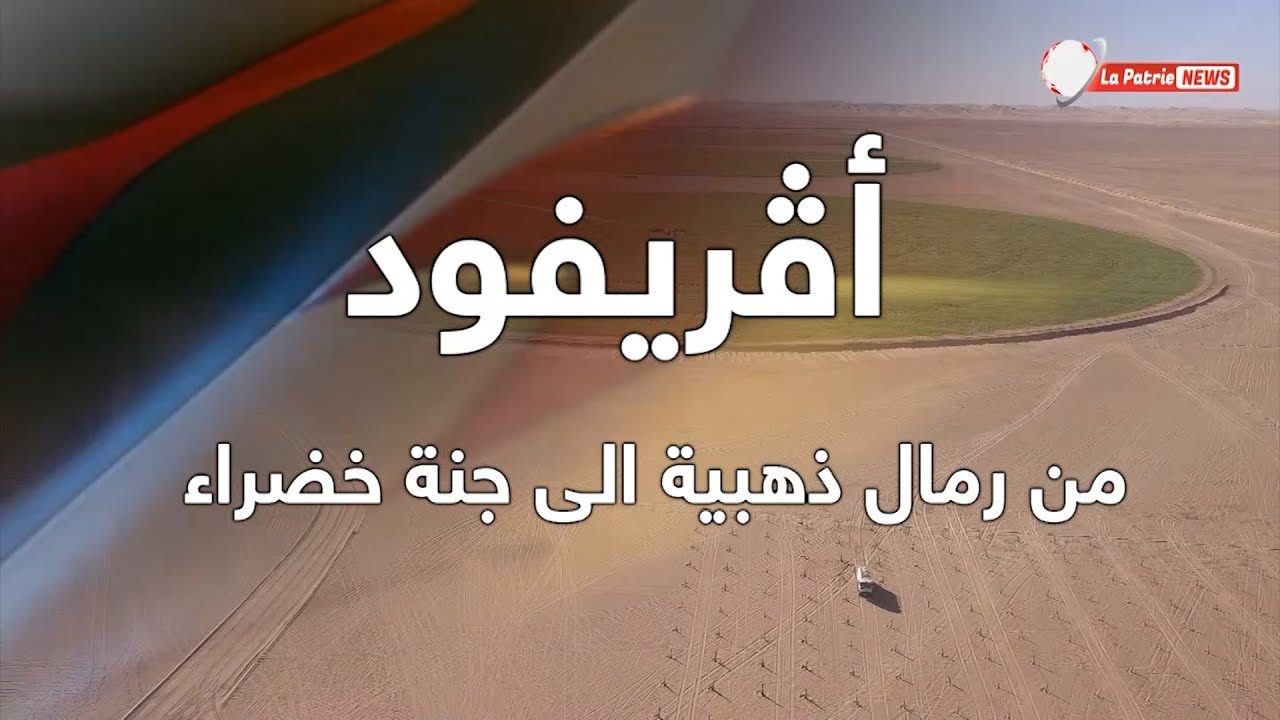 شركة أقري-فود لزراعة الحبوب 🚜 .. تُحوّل رمال الصحراء الذهبية 🌴 إلى جنة خضراء 🌳