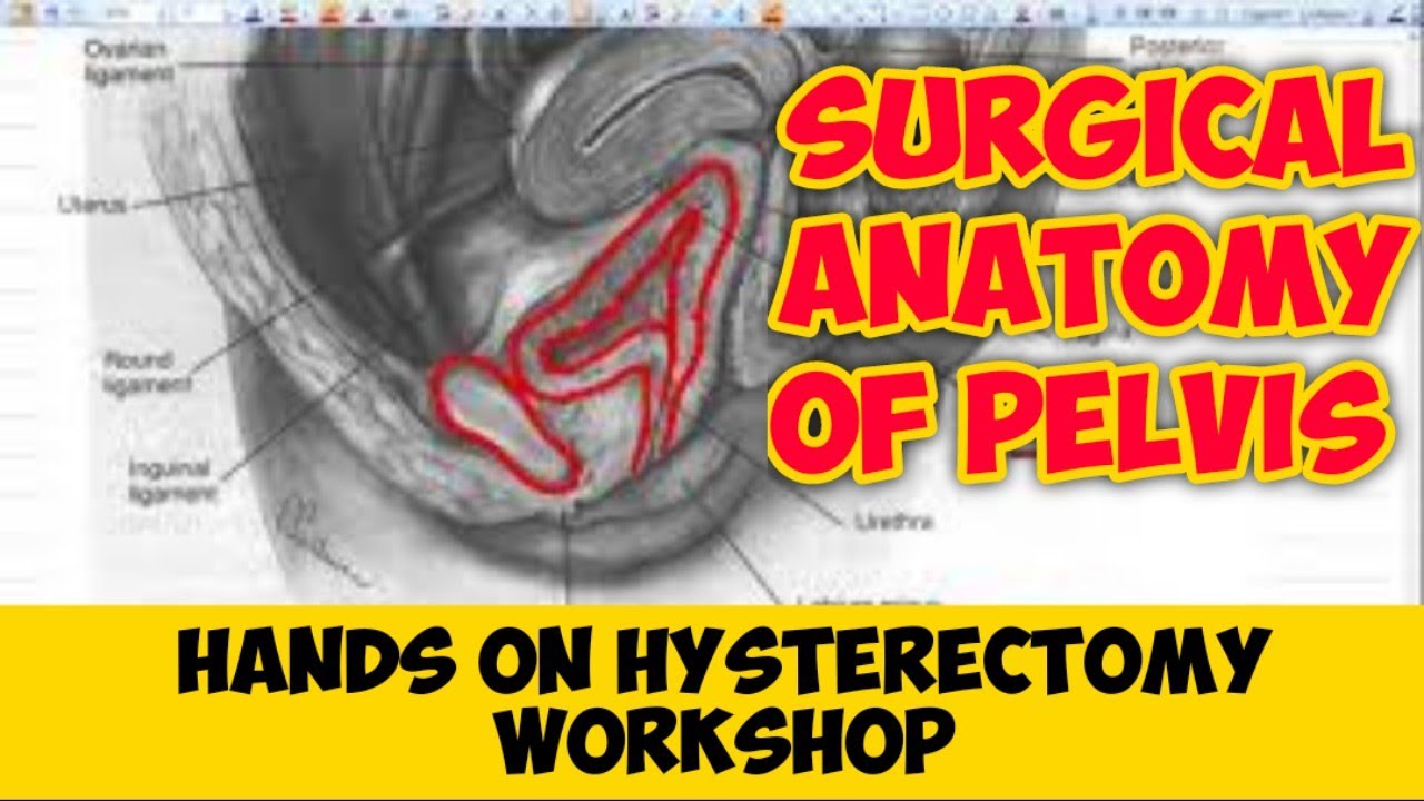Hands on Hysterectomy Work shop - Theory Lecture 1 : Surgical Anatomy of Pelvis