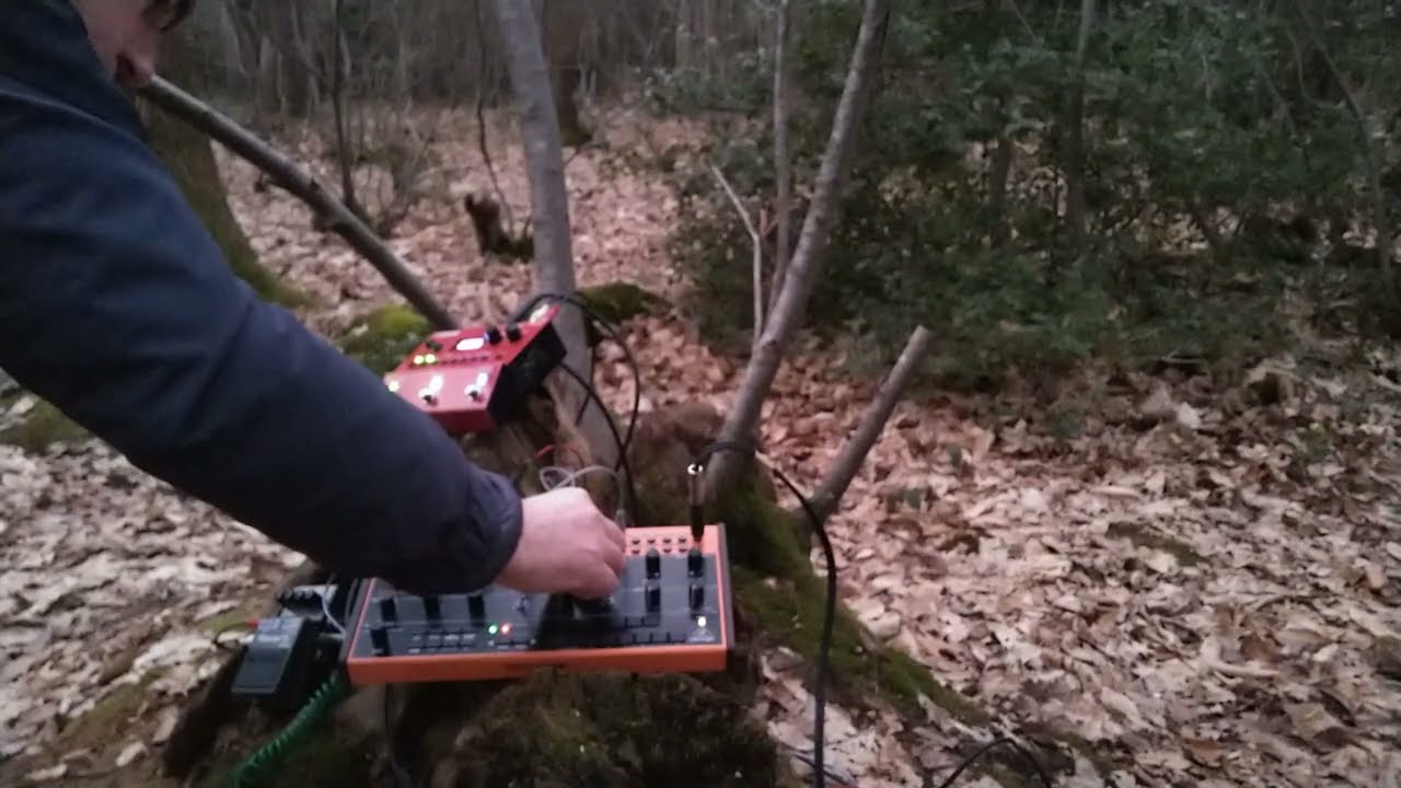 Winter Drone - one synth drone jam in the copse looping Behringer Crave through Boss RV6 with RC500