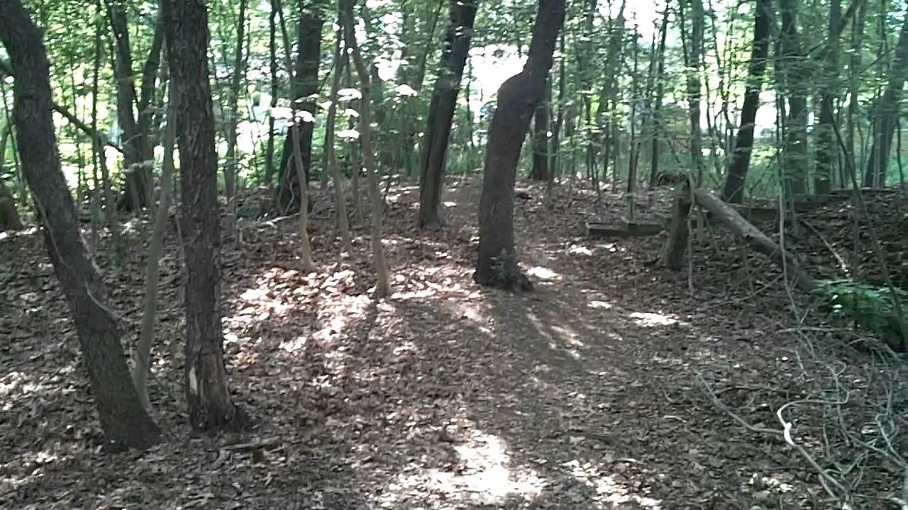 #11 Sounds: Gum Chewing and Nature