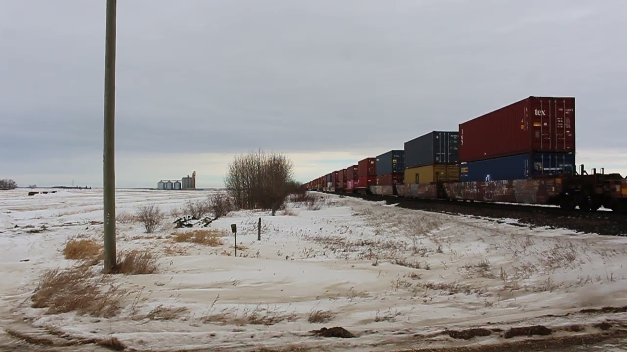Eastbound CN Train (Intermodal) (Thursday February 5 2026) (Road 49 West)