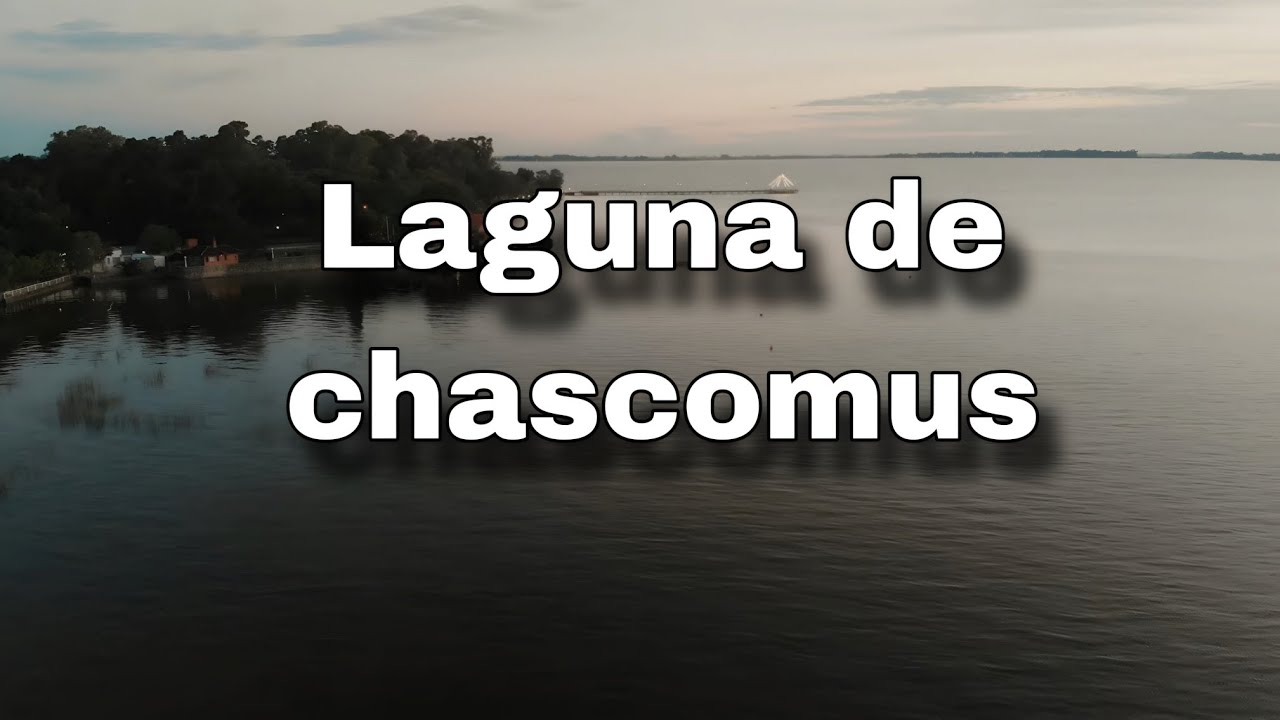 laguna de chascomus desde el aire