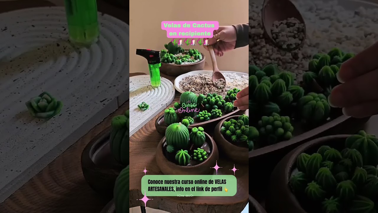 Velas Cactus 🌵 crea velas artesanales #velas #candle #candlemaking #emprendedoras #usa #miami