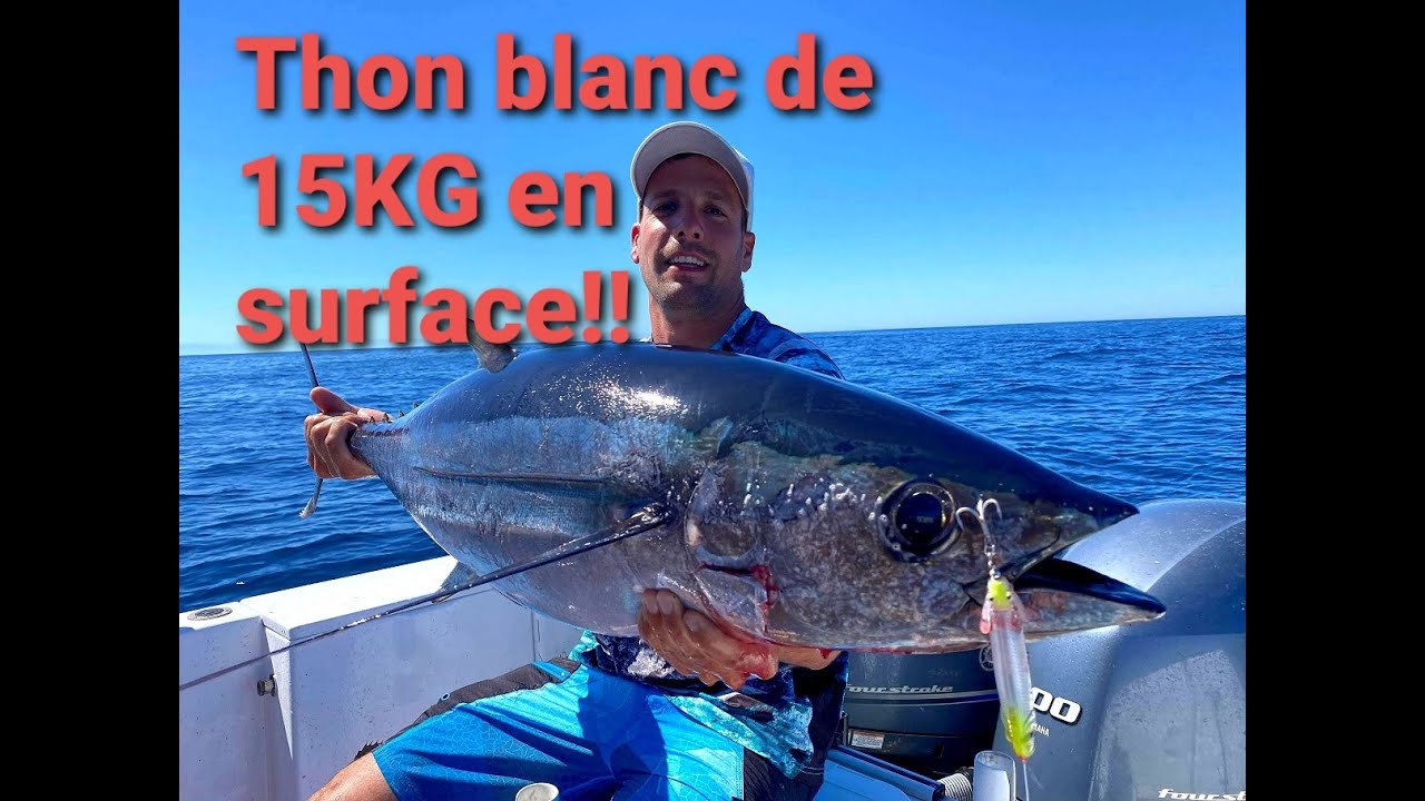 Thon blanc de 15 kilos au leurre de surface !