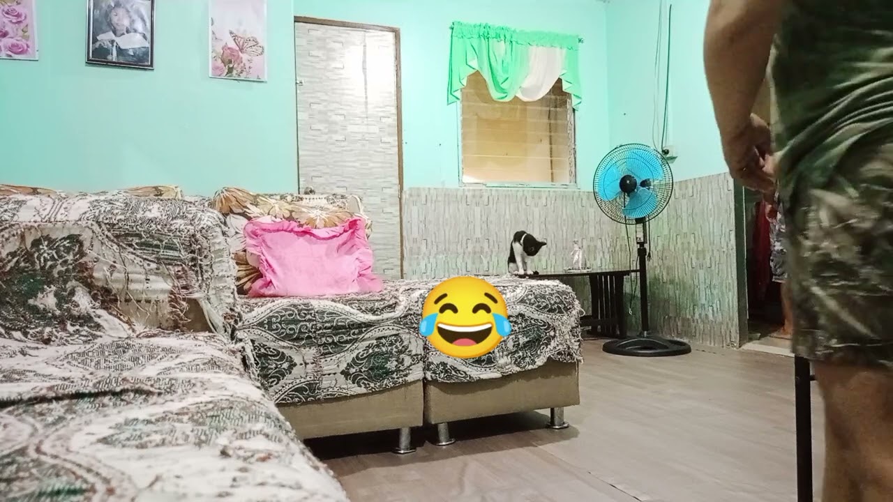 buhay ng simpleng empleyado..kapag day off@madels9660 #cleaning #healthylifestyle #gardening