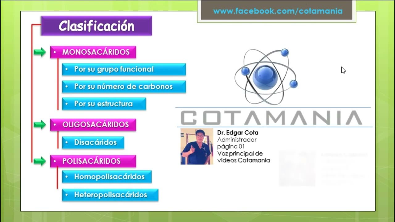 BIOMOLÉCULAS ORGÁNICAS | GLÚCIDOS | Cotamania