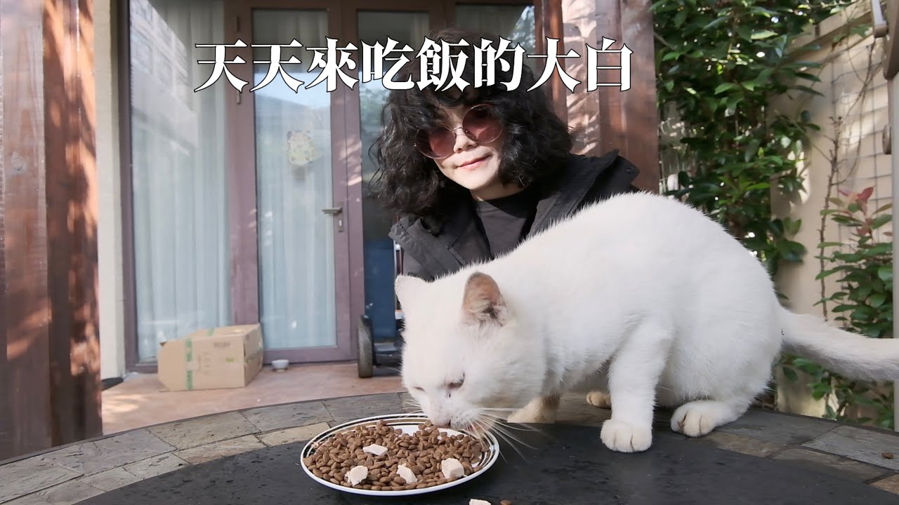 我在上海崇明島的助教生活週記 EP2 （開啟CC字幕）