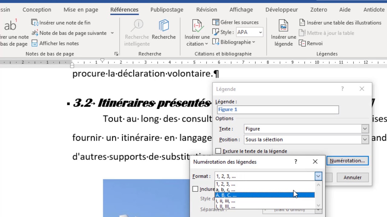 Insertion d'images avec une légende