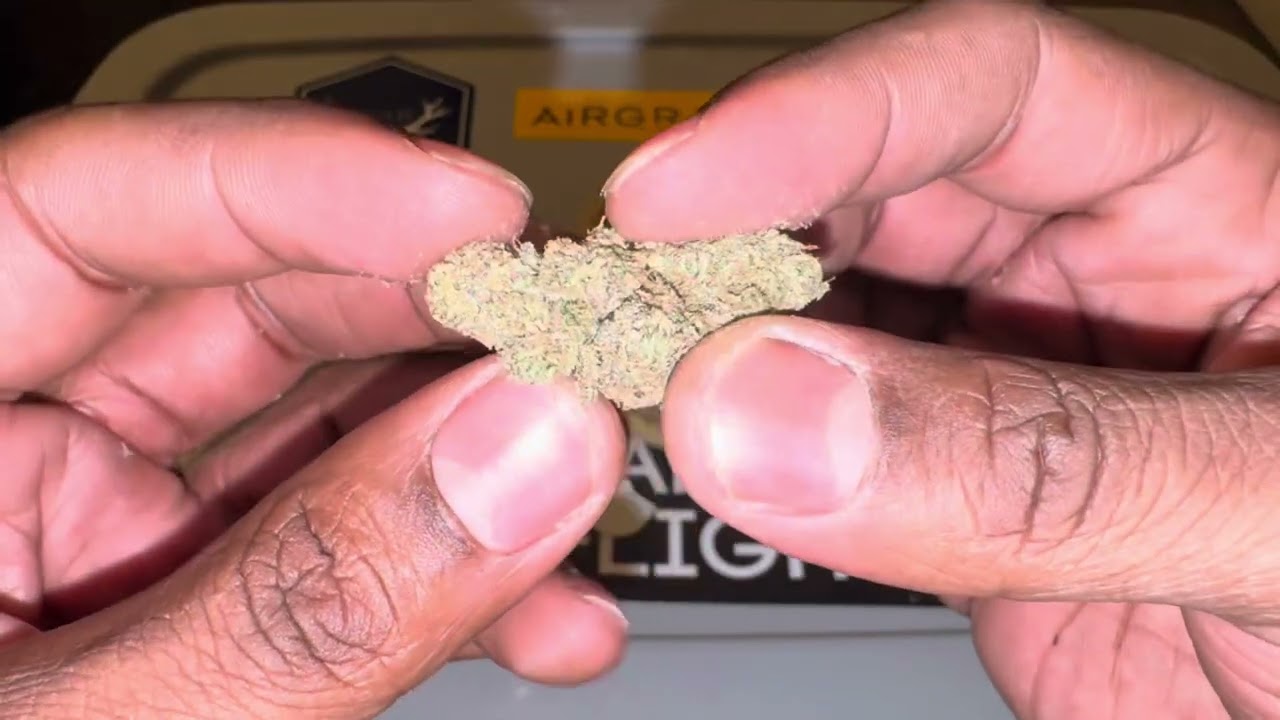 Since Cannabis - Hash Burger ￼review
