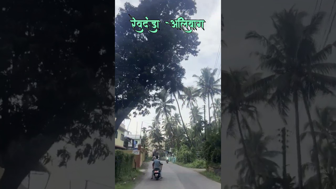 रेवदंडा अलिबाग❤️🌿🌴🌴#revdanda #alibagh #revdandabeach #alibagkar #raigad #live #ytshorts #trend #yt