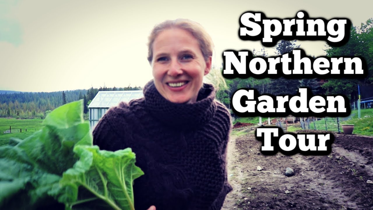 Spring Garden Tour | Food Forest | Northern Zone 4 Growing