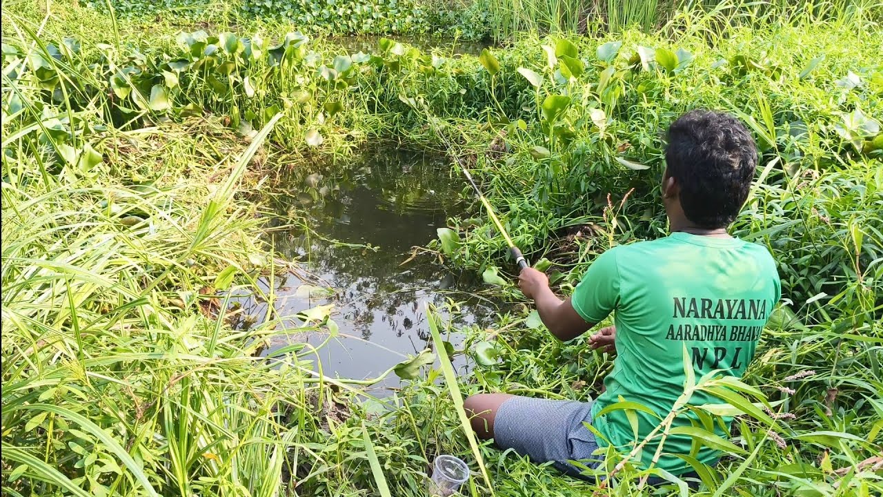  Canal Fishing! Tilapia & Dangerous Spiky Fish Catch 🐟