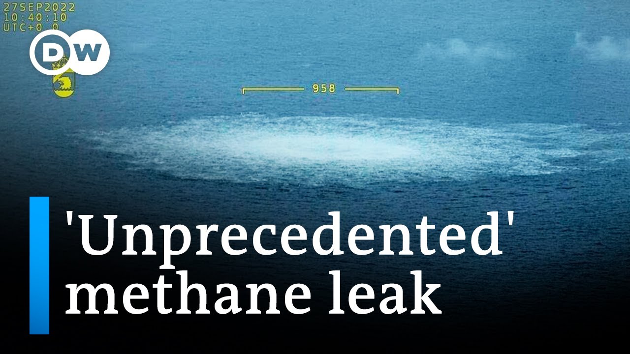 What does the Nord Stream pipeline gas leak mean for the environment? | DW News