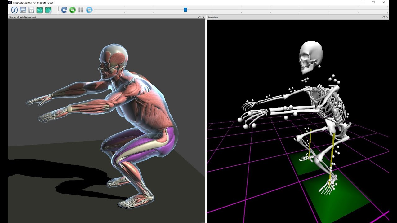 The MotionMonitor for Biomechanists