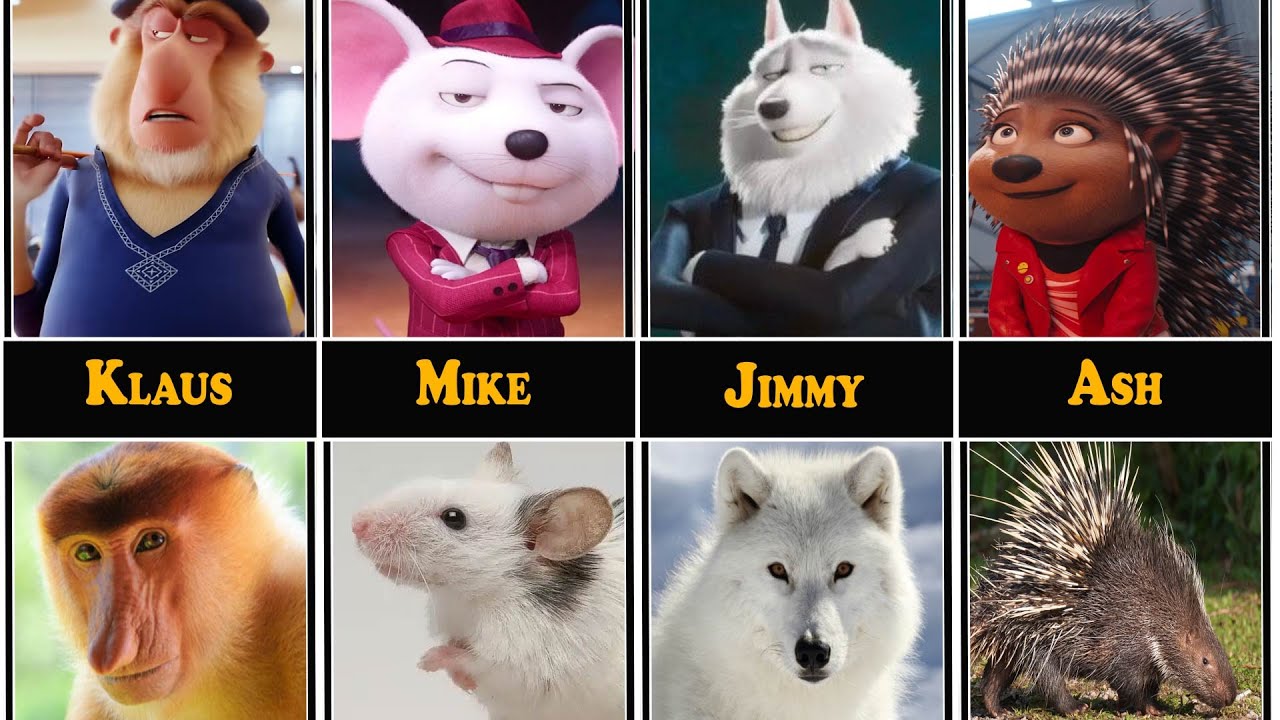 Sing Characters in Real Life