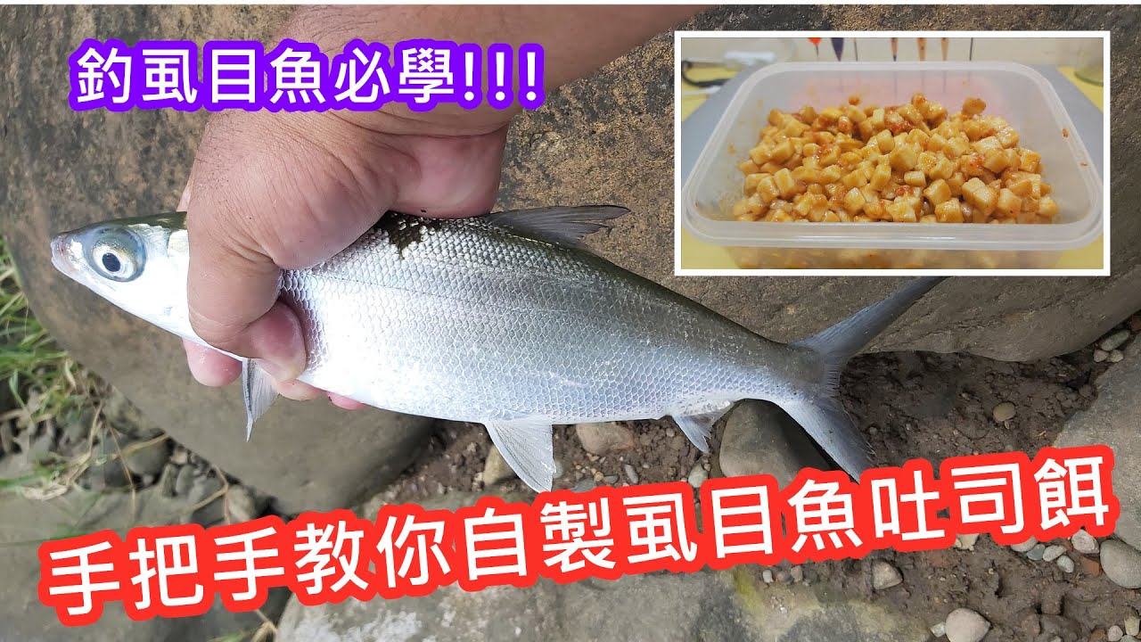 【自製釣餌教學】手把手教你自製虱目魚吐司餌(釣臭肚也適用)｜蝦皮愛教學