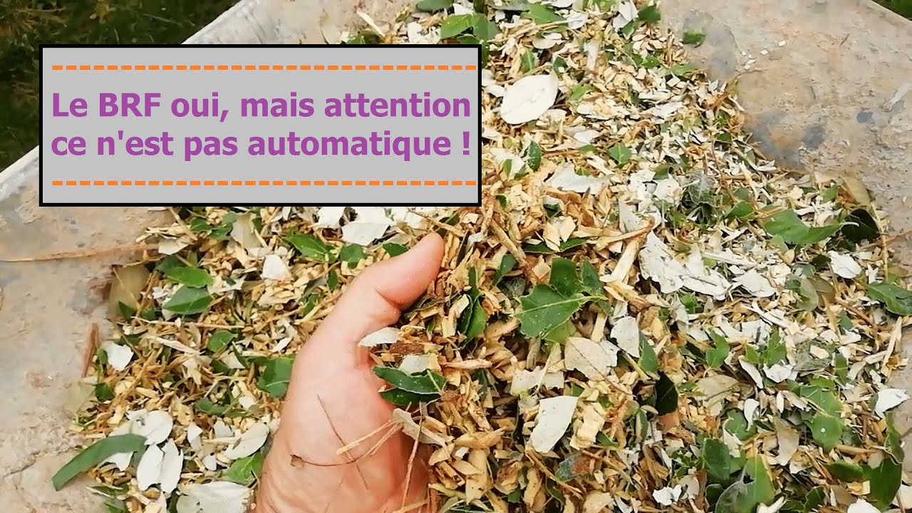 Le BRF/Broyat ce n'est pas automatique. Attention aussi aux ph&eacute;nom&egrave;nes de mode au jardin potager.