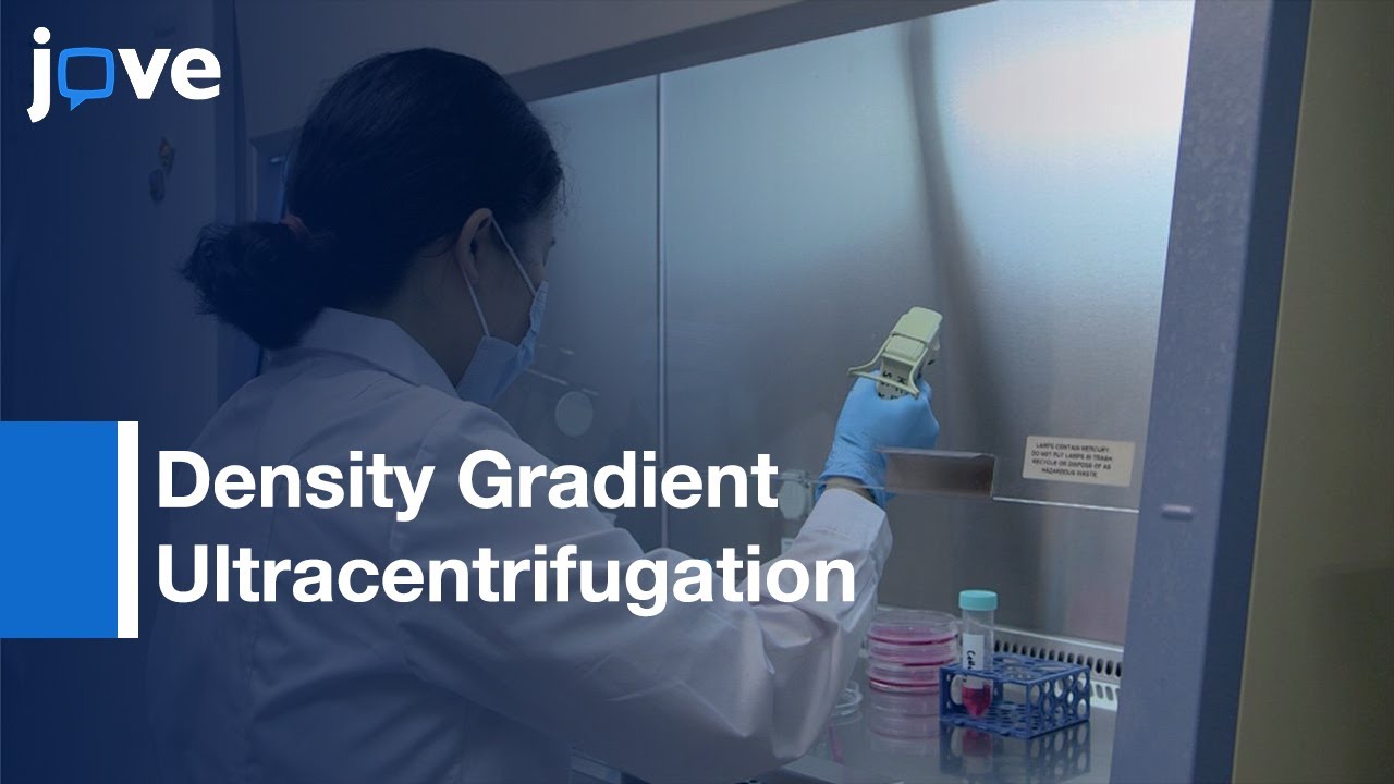 Density Gradient Ultracentrifugation to Analyze Endocytic Recycling | Protocol Preview