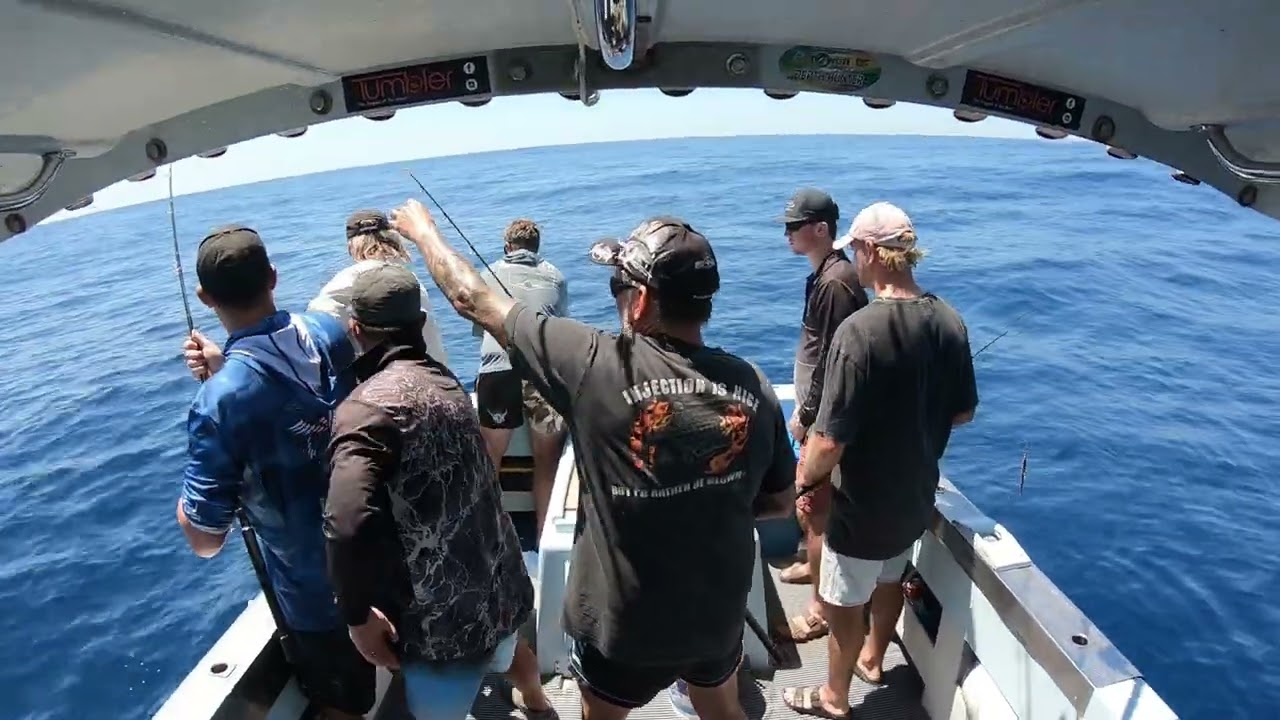 Welcome to the Sambo Circus