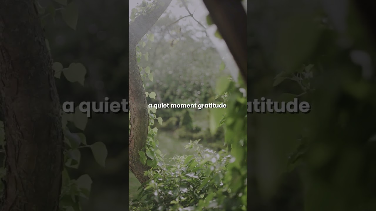 I Appreciate the Little Things | Daily Gratitude Affirmations 🌈