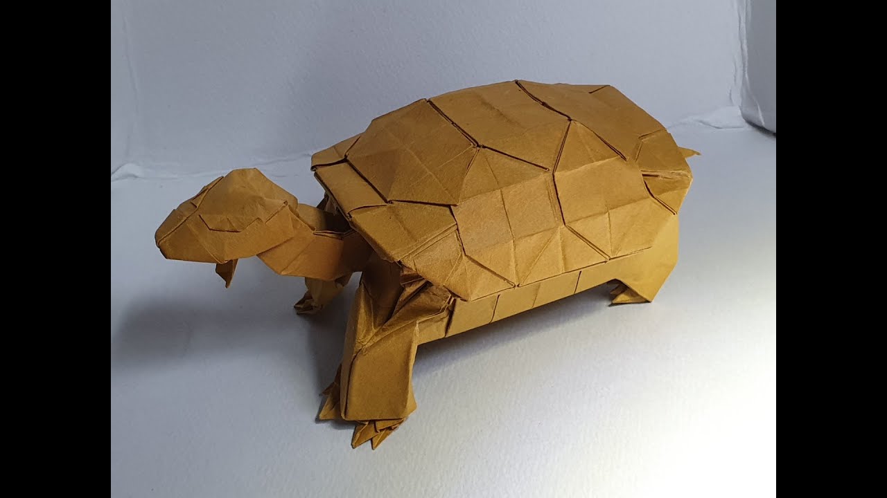 땅거북 접기(tortoise origami)