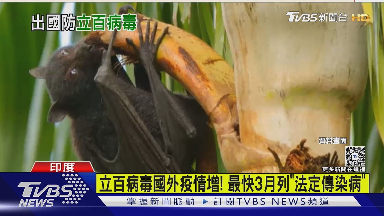 立百病毒國外疫情增! 最快3月列「法定傳染病」｜TVBS新聞 @TVBSNEWS01
