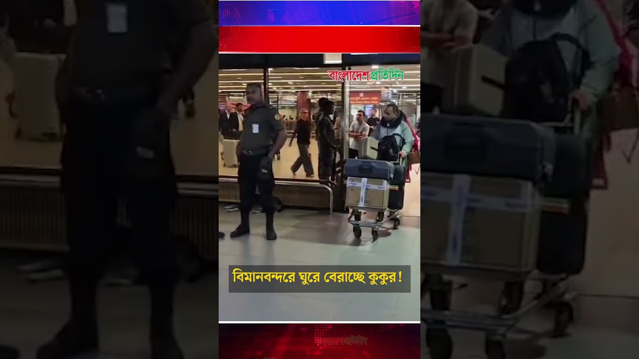 দেশের প্রধান বিমানবন্দরে কুকুরের অবাধ বিচরণ