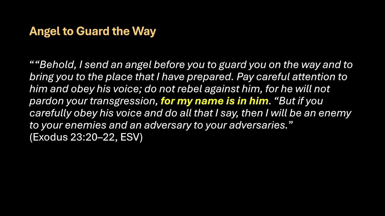 Survey of the Bible - Exodus Part 6