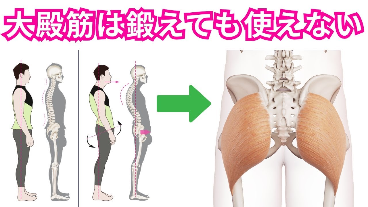【大殿筋をいくら鍛えても使えない人の特徴とは？】大殿筋が機能低下する原因で多い典型的なパターンを理学療法士が徹底解説！【運動療法/ピラティス/股関節】