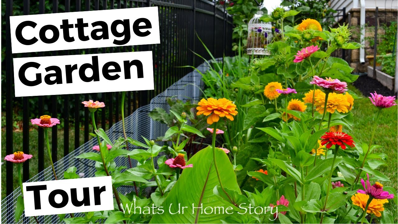 Small Cottage Garden Tour - Summer 2018 - This backyard cottage garden is one a year old!