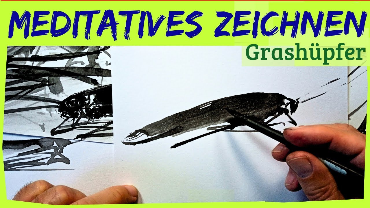 Wie ich einen Grashüpfer zeichne! | Meditatives Tuschezeichnen