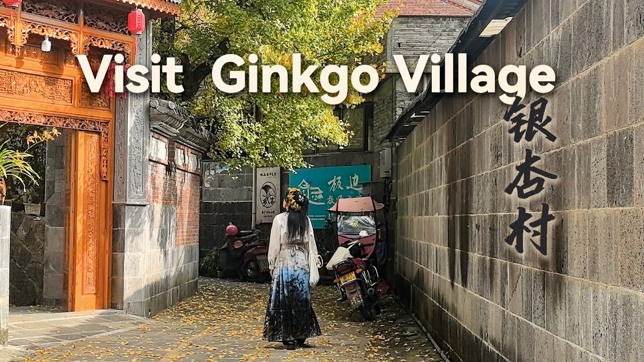 China Travel | Tengchong Day2: A Village with Over 1,200 Centuries-Old GingkoTrees, Yunnan