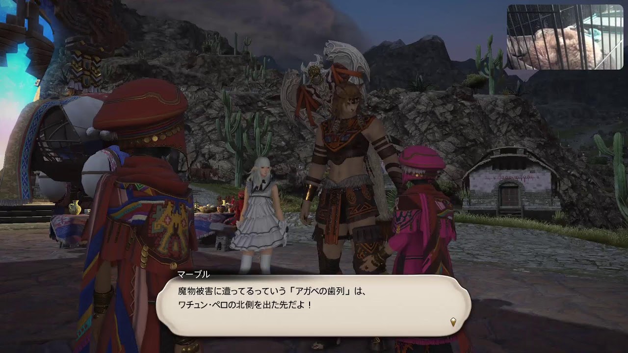 FF14 エオルゼアを救う　　トイプードル見ながら