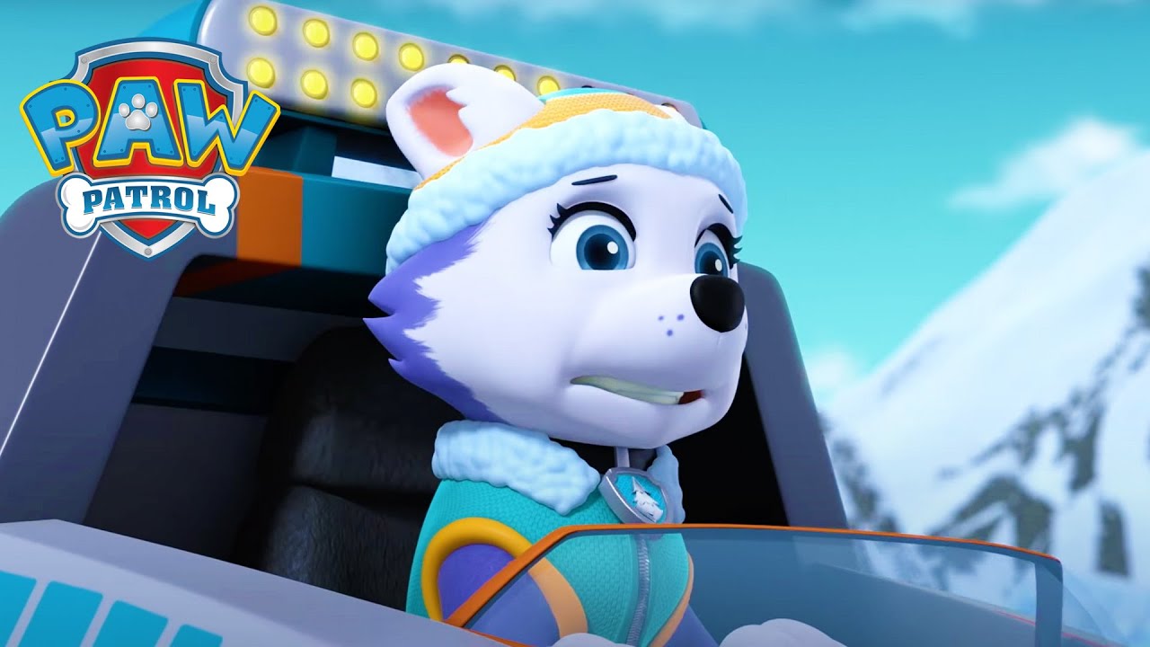 Mountain Rescuer! - PAW Patrol Episode - Cartoons for Kids Compilation