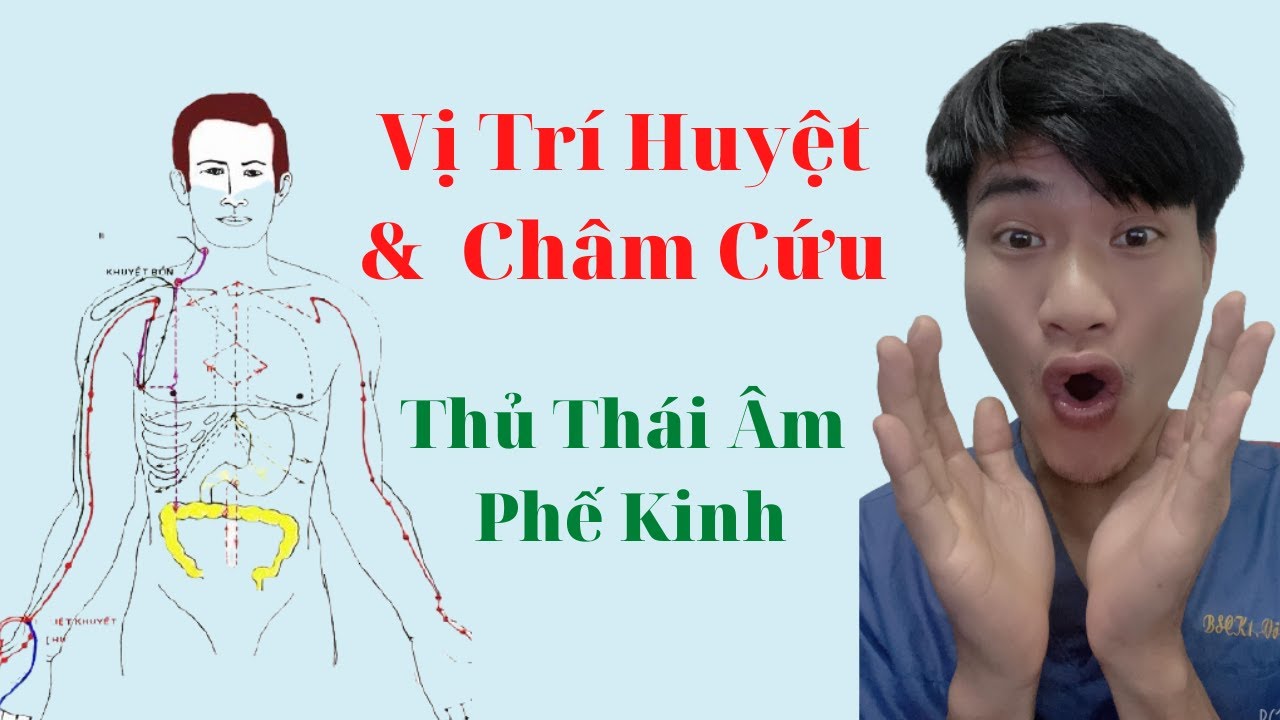 Kinh thủ thái âm phế: vị trí huyệt, châm cứu | Bs Ân