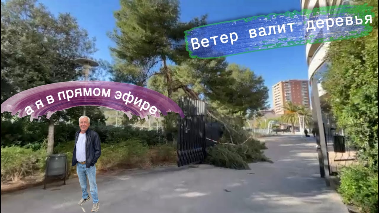 Новости для подписчиков 🎥 в прямом эфире