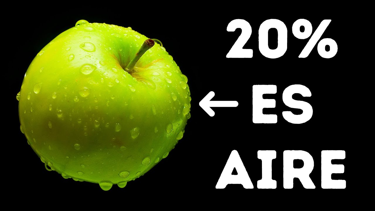 La colecci&oacute;n m&aacute;s completa de los datos m&aacute;s inesperados