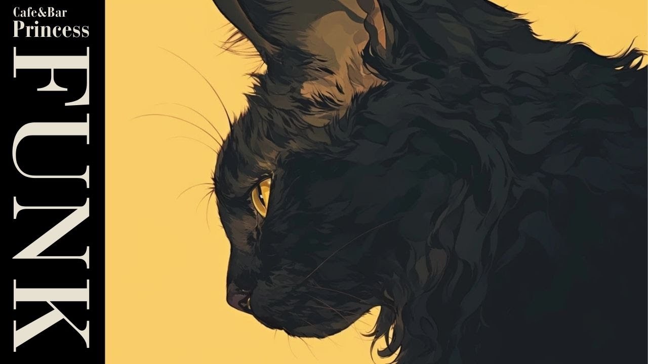 Smooth Study Groove | Funk Guitar Chillhop 🎧 | Selected by the Black Cat | Chill, Groove & Focus