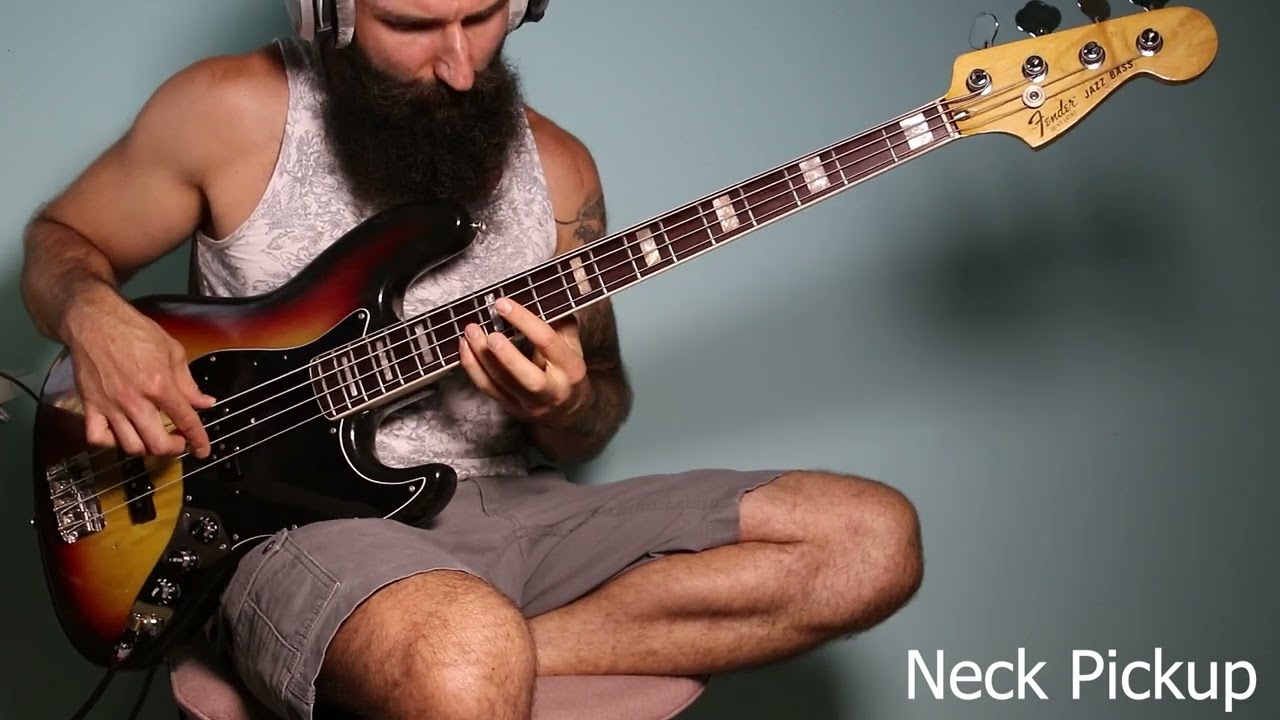 Talibah Safiya - Animal Kingdom (bass cover)