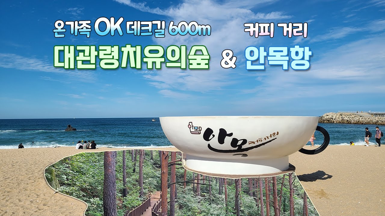 대관령치유의숲 | 차 문 열면 바로 금강소나무숲 | 누구나 걷기 쉬운 무장애데크길 1.2km | 솔향치유의숲길 1.1km | 강릉커피거리 안목항 | 당일 맞춤여행 코스
