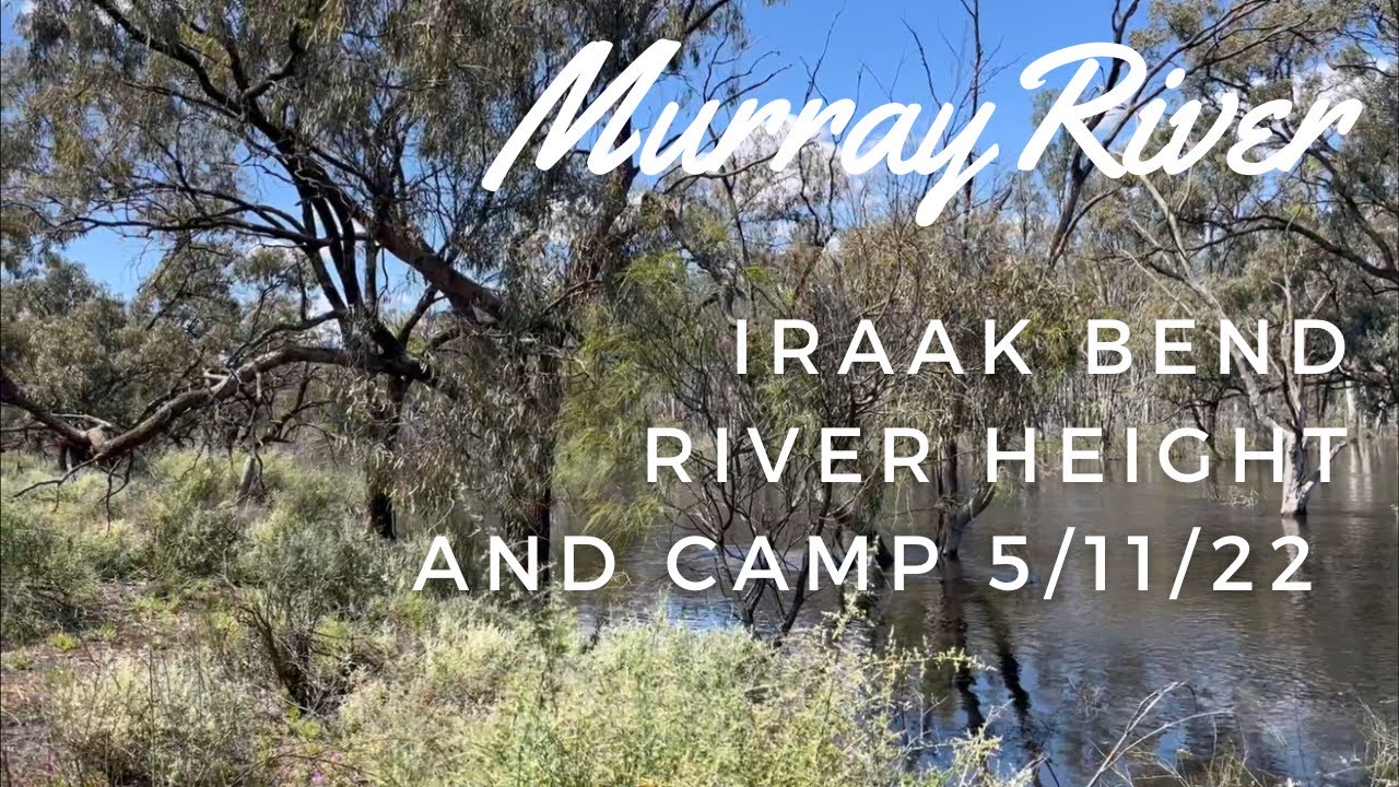 Murray River, Iraak Bend river conditions and camp 5/11/22