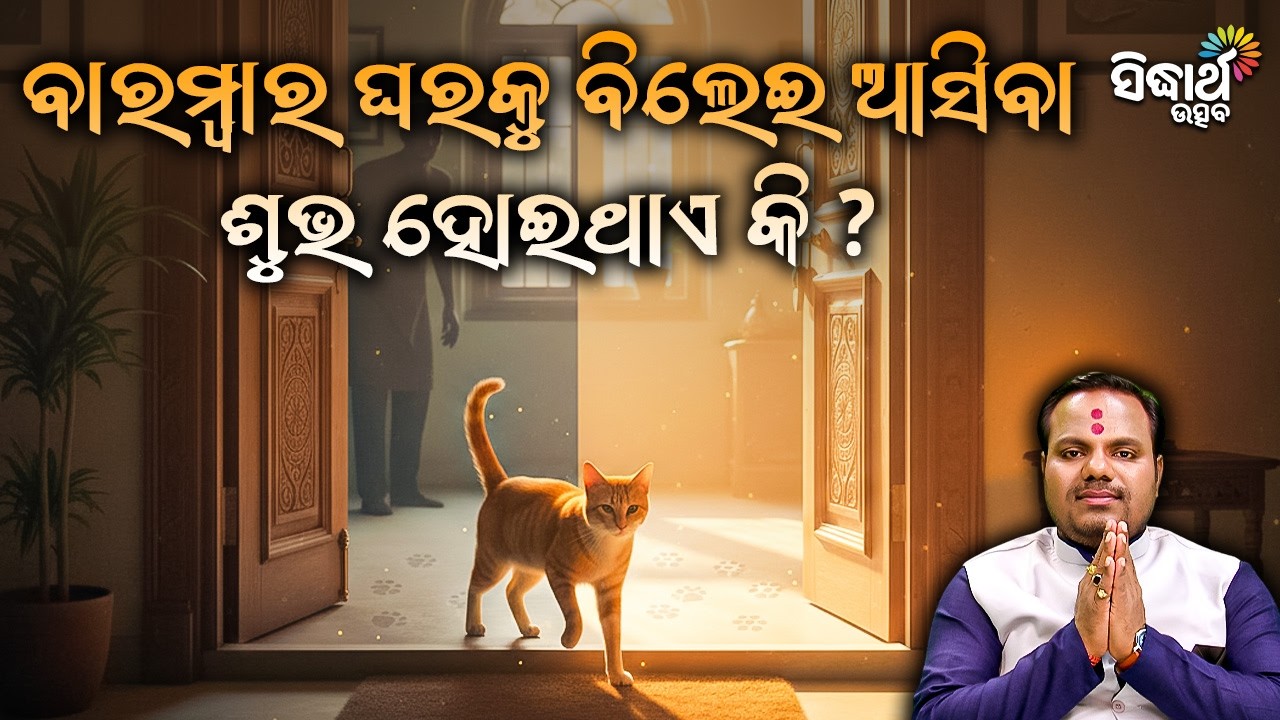 ବାରମ୍ବାର ଘରକୁ ବିଲେଇ ଆସିବା ଶୁଭ ହୋଇଥାଏ କି ? Jiban Jigyansha | Chitaranjan Mahapatra | Sidharth Utsav