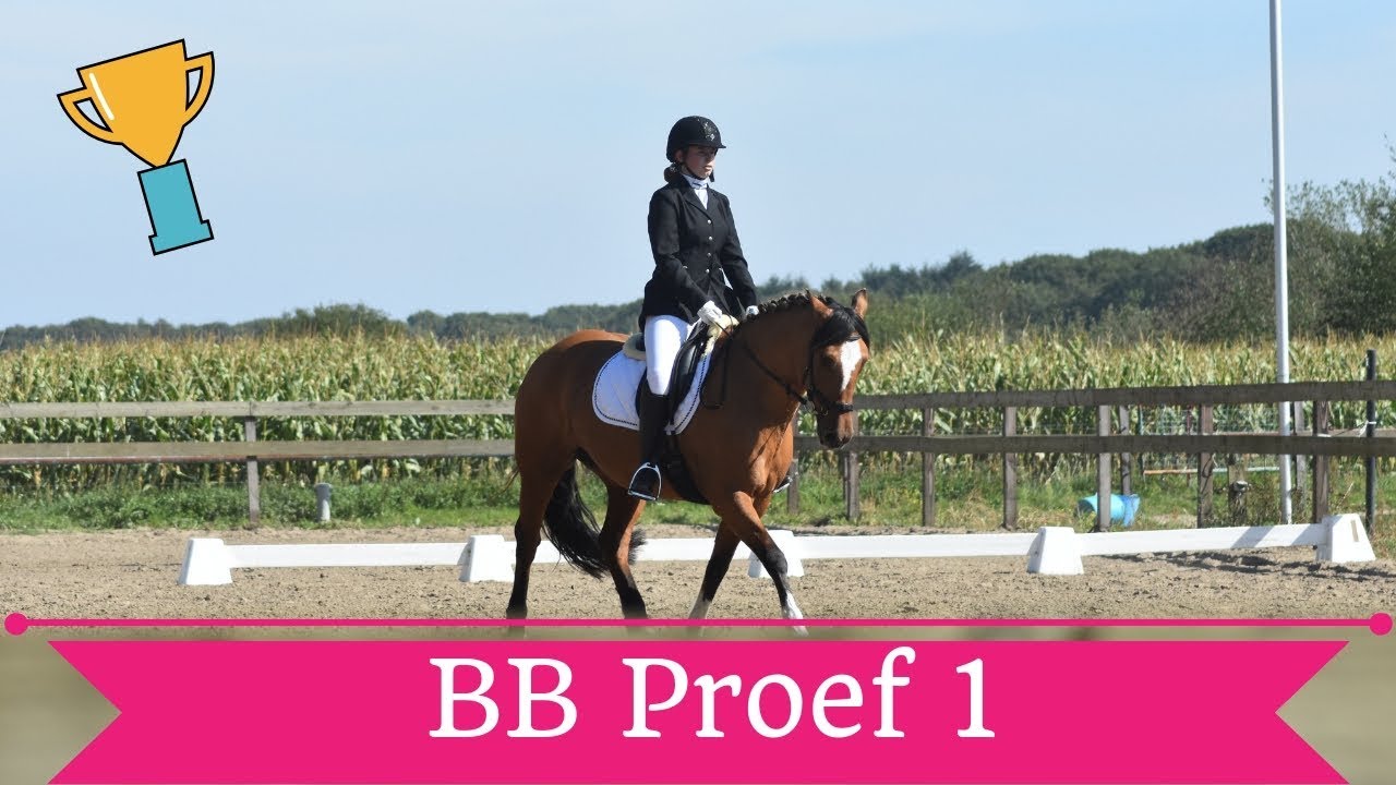 KNHS BB proef 1 bespreken - 206 punten