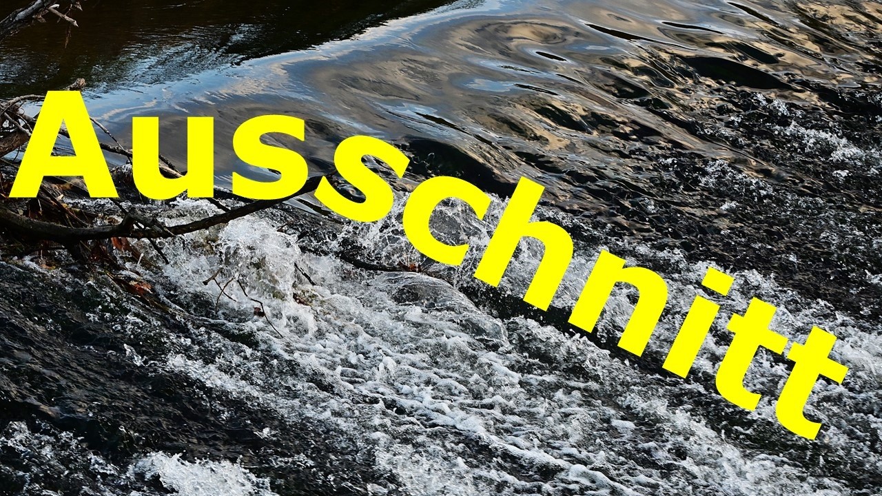 Ausschnitt