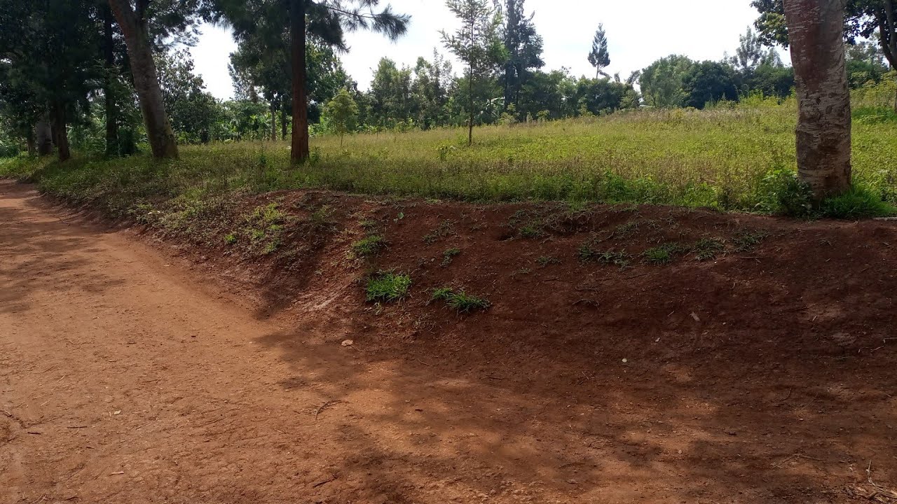 Rwamagana/ Munyiginya ikibanza kinini Gifite m² 4.779 Haragurishwa 30M # +250788508415 Whatsapp